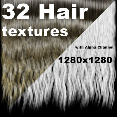 KEYWORDS: human male female hair texture transparency map alpha channel 