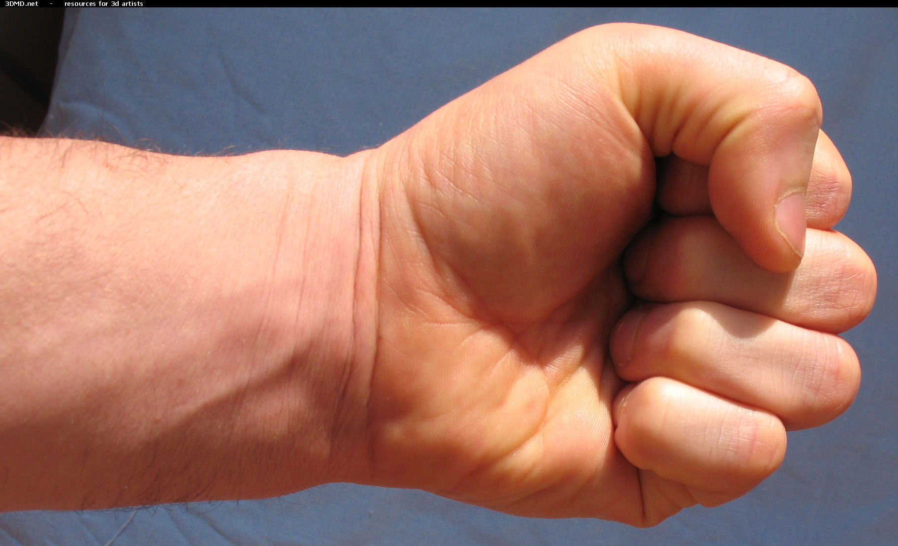 Male Fist Photo Bottom  