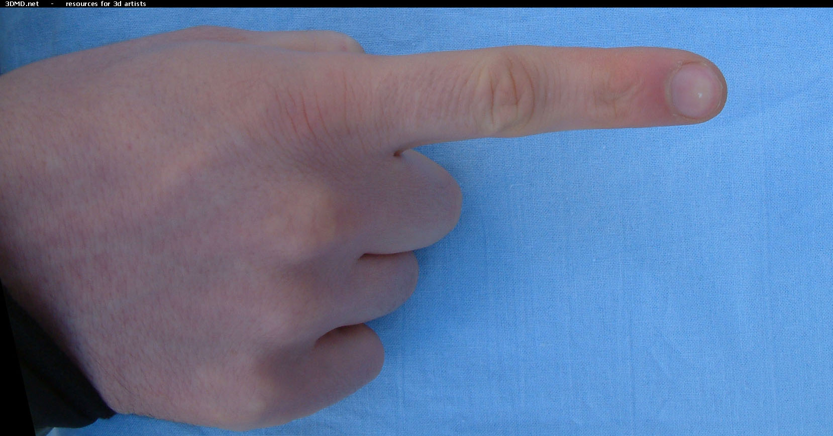 Male Forefinger Top  