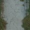 Ground Texture Maps