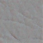 seamless_palm_skin_texture.jpg