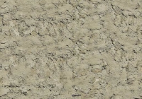 Free Fresh Concrete Texture