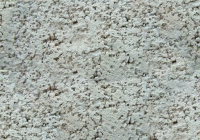 Light Concrete Texture