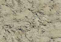 Free Fresh Concrete Texture Zoom