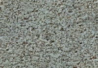 Rough Concrete Texture