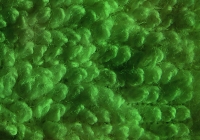 Green Turksih Towel Texture