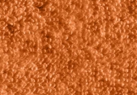 Orange Turksih Towel Texture