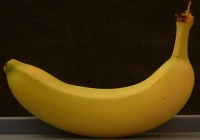 Banana Texture Side View