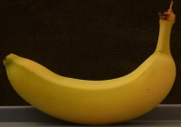 Banana Texture Side View