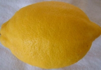 Free Lemon Texture