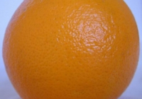 Free Orange Texture