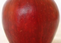 Free Red Apple Texture