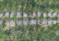 Stone Path With Grass Texture