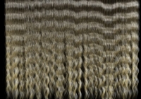 Curly Hair Texture