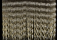 Curly Human Hair Texture