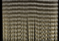 Human hair texture