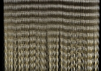 Human hair texture