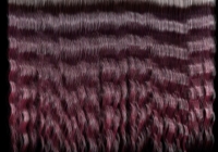 Human hair texture