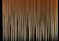 Human hair texture