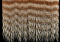 Human hair texture