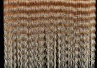 Human hair texture