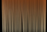 Human hair texture