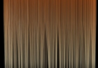 Human hair texture