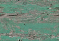 Free Green Painted Wood Texture