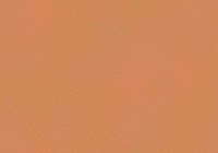 Free Seamless Human Skin Texture
