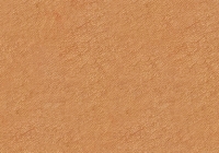 Seamless Human Skin Texture Macro Zoom