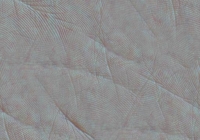 Free Human Palm Skin Texture