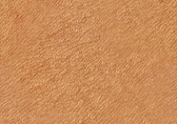 Free Human Skin Texture