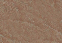 Tileable Human Palm Skin Texture