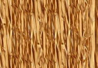 Cane texture