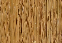 Cane texture