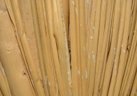 Cane texture