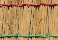 Cane texture