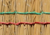 Cane texture