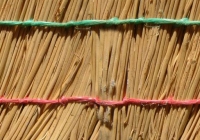 Cane texture