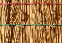 Cane texture