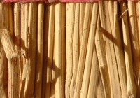 Cane texture