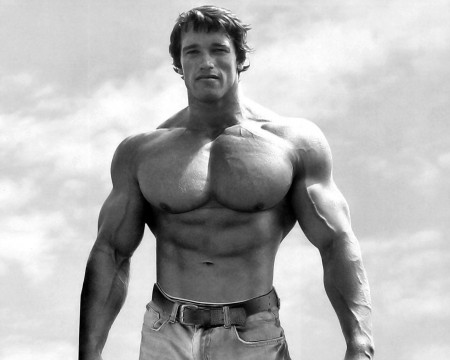 arnold-schwarzenegger-bodybuilding-photo-front.jpg