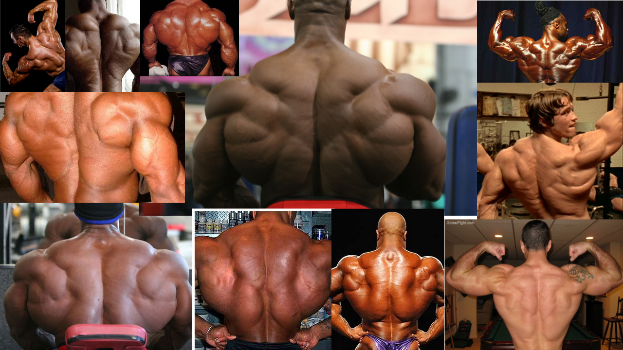huge_back_muscles_colage.png