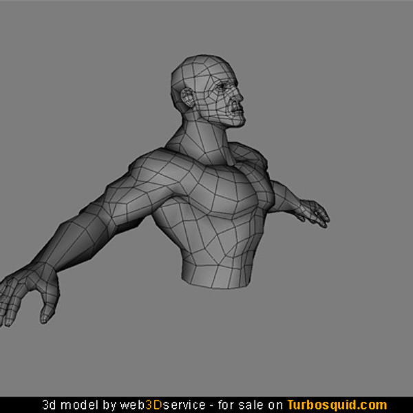 A great heroic male torso 3d model - Commercial 3D Models