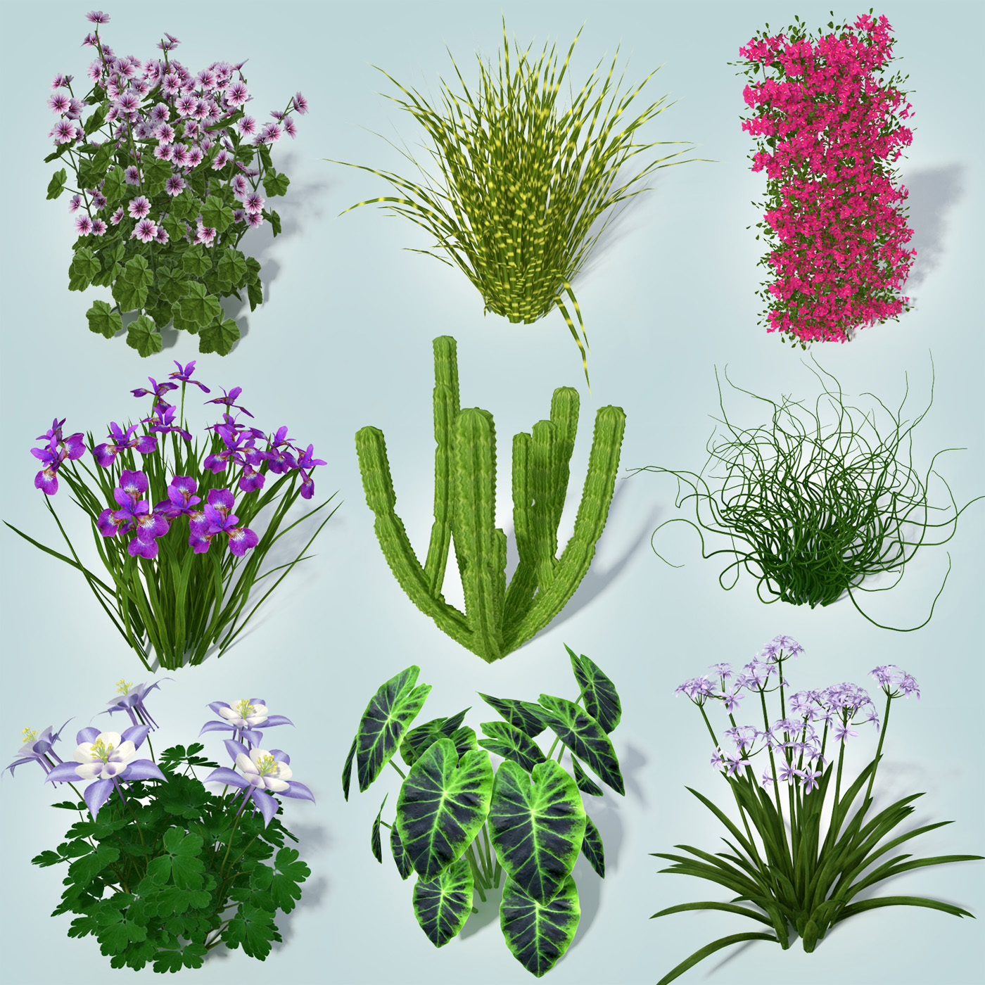Plants01.jpg