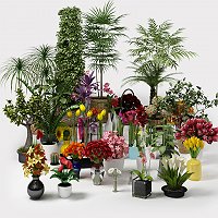 CGAxis Bundle Flowes & Plants Commercial 3D Models