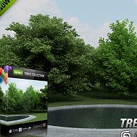 CGAxis models volume 5 trees collection Commercial 3D Models