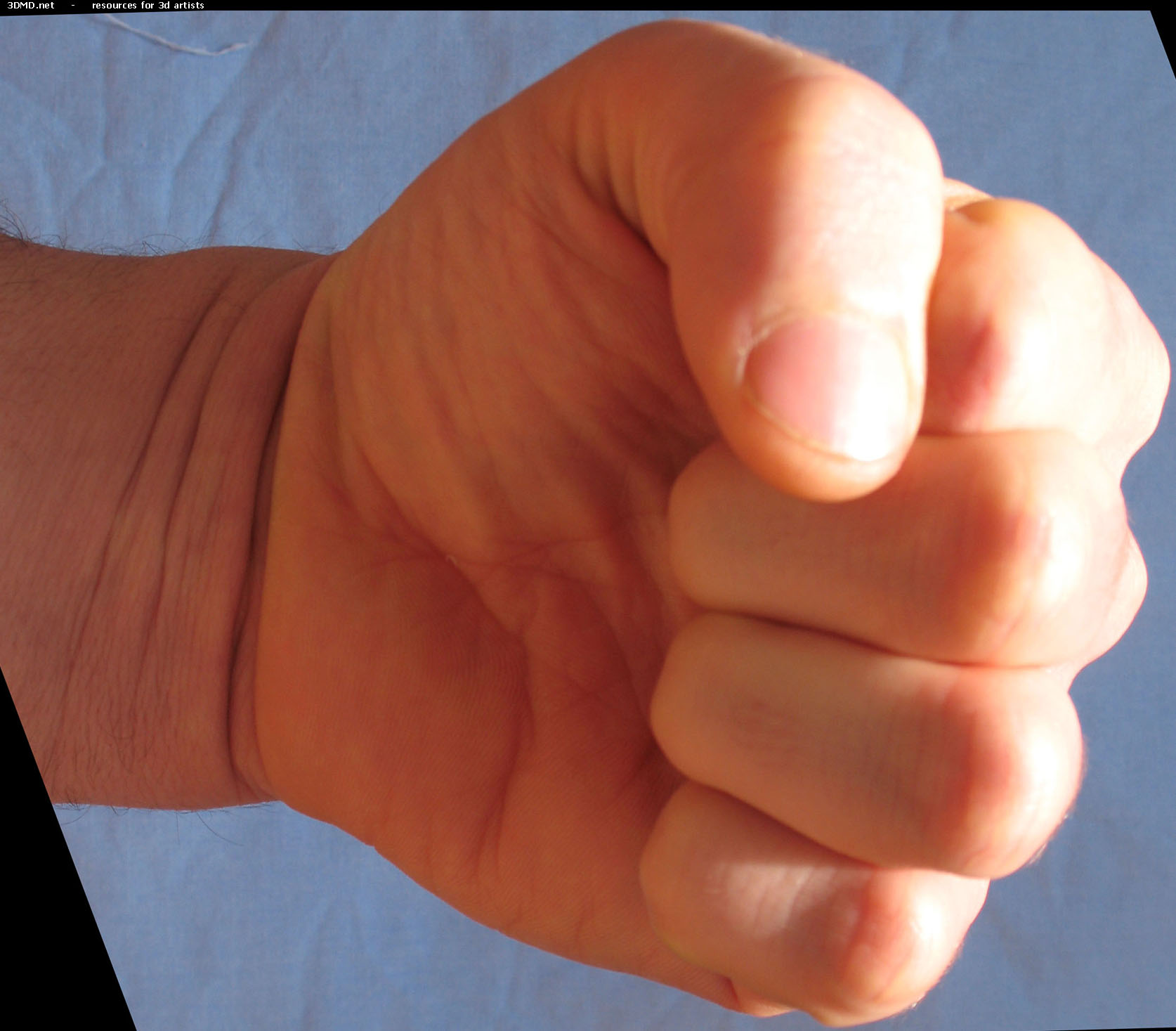 Male Fist Photo     