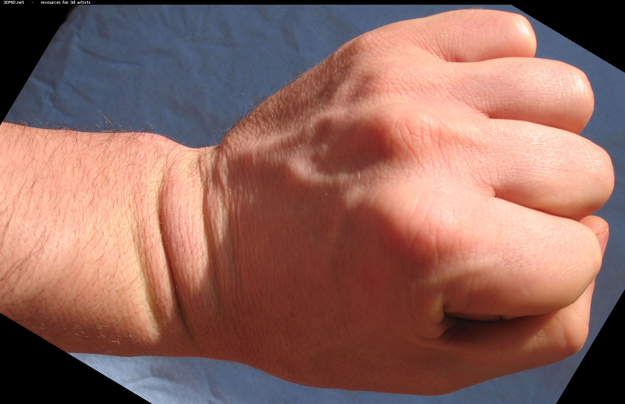 Male Fist Photo     