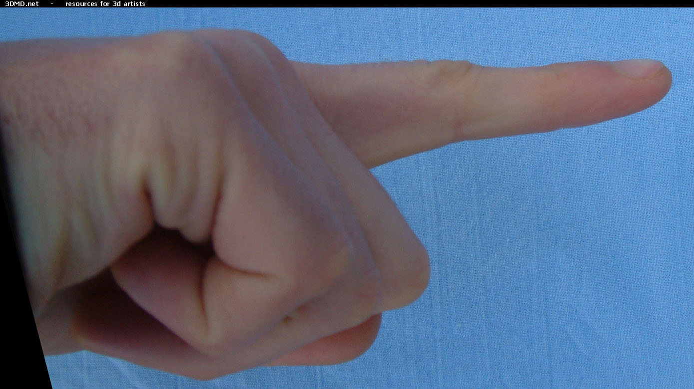 Male Forefinger Right  